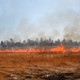 Illustration for article titled Science of the Fiery Dust Devil Spawned by a Controlled Burn